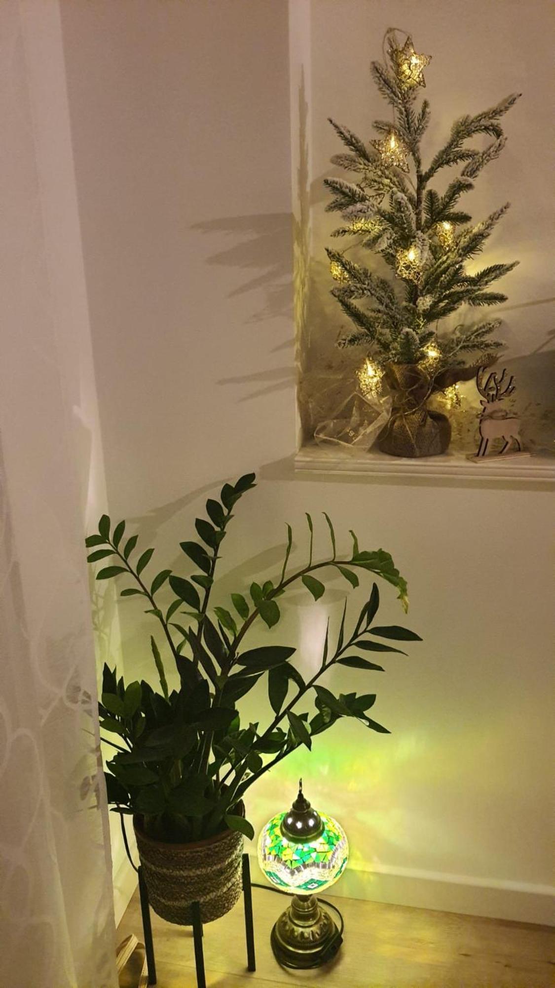 Apartman Lili 스플리트 외부 사진
