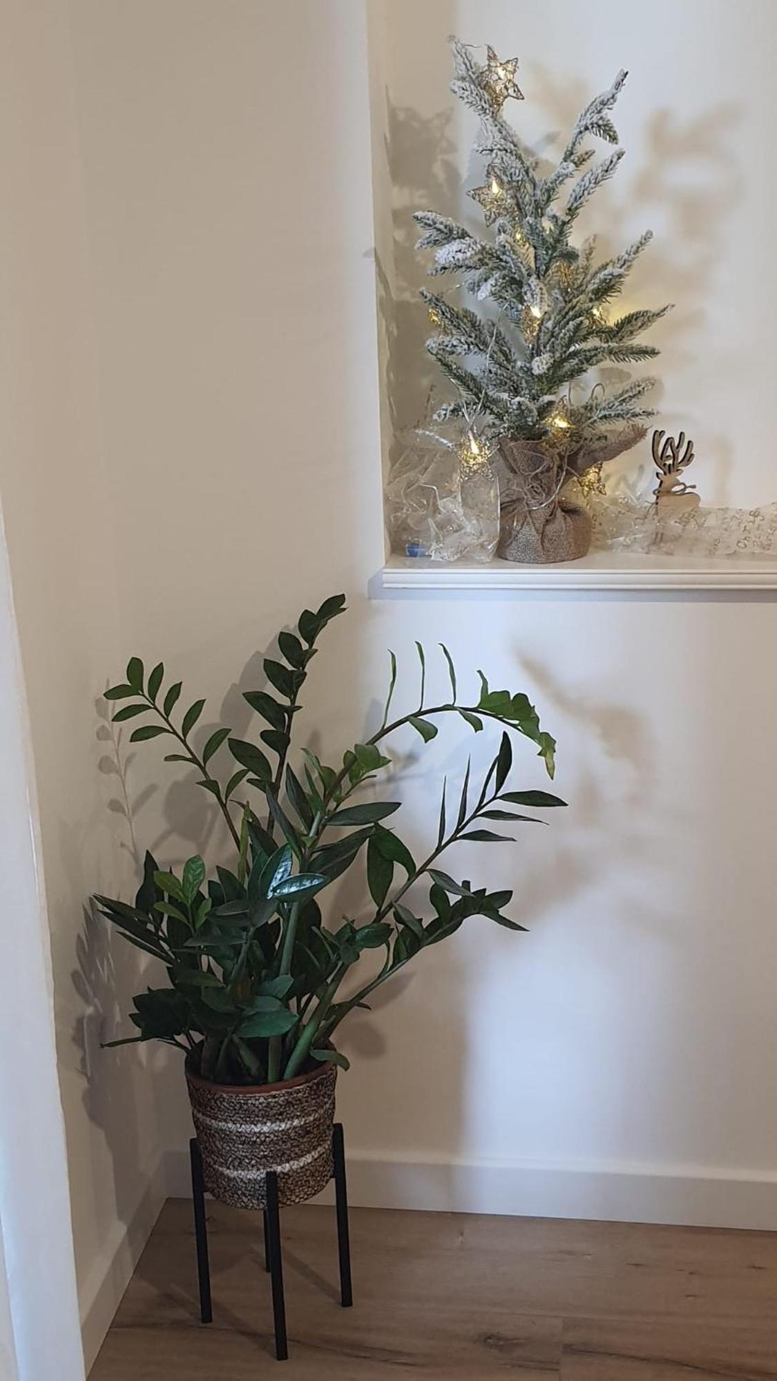 Apartman Lili 스플리트 외부 사진